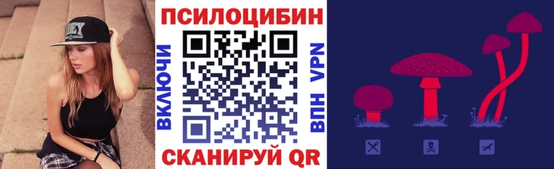 Галлюциногенные грибы ЛСД  наркошоп  Олонец 